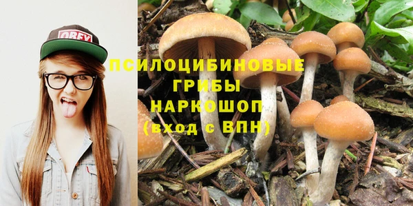 хмурый Белокуриха