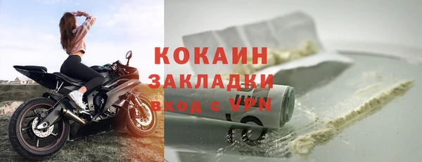 хмурый Белокуриха