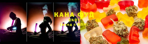 хмурый Белокуриха