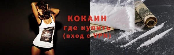 амф Богданович