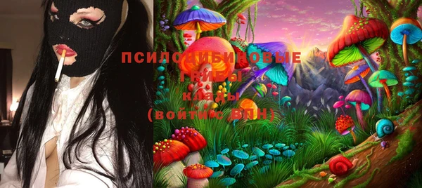 СК Богородицк