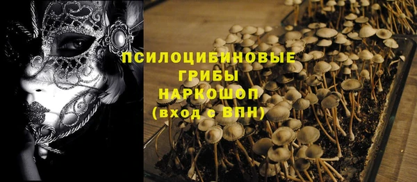 хмурый Белокуриха