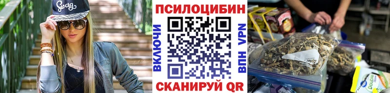 где можно купить наркотик  Великий Устюг  блэк спрут зеркало  Псилоцибиновые грибы Magic Shrooms 